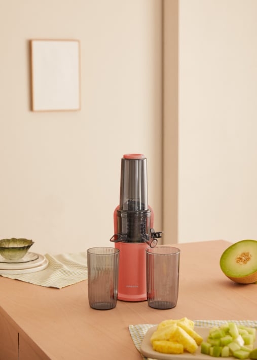 JUICER SLOW MINI - langsamer Extraktionsentsafter 150W