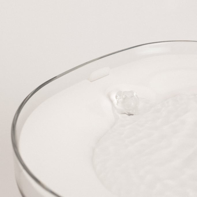 PACK 12 FILTER für AQUAPURE PETCARE - Automatischer Trinkwasserspender für Haustiere, Galeriebild 1074069