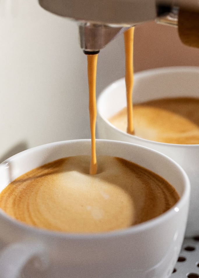 BIOKAFFEE 100 % ARABICA - Ökologischer Kaffee in Bohnen und gemahlen in verschiedenen Größen
, Galeriebild 6