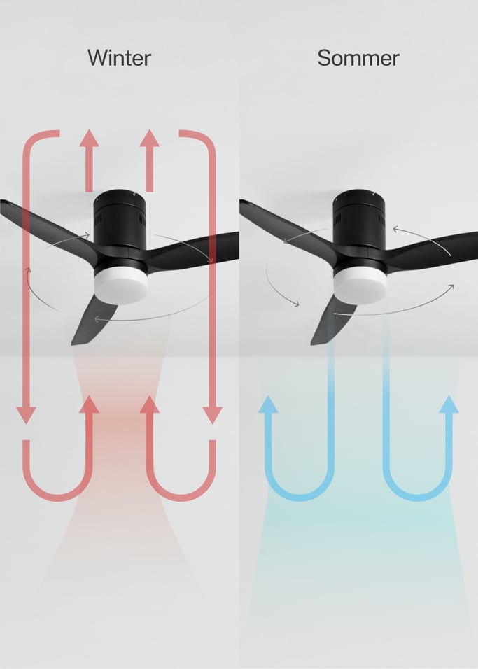 WIND CALM NATURAL WOOD - Leiser Deckenventilator 40W 100% Holz , Galeriebild 3