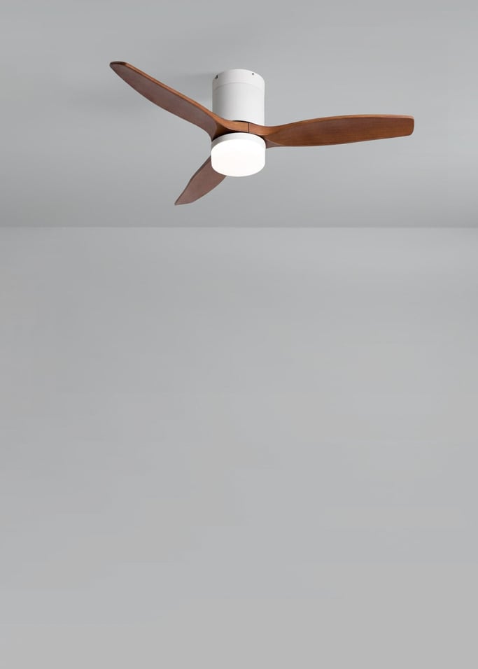 WIND CALM - Leiser Deckenventilator 40W mit technischen ABS-Blättern in verschiedenen Größen, Galeriebild 2