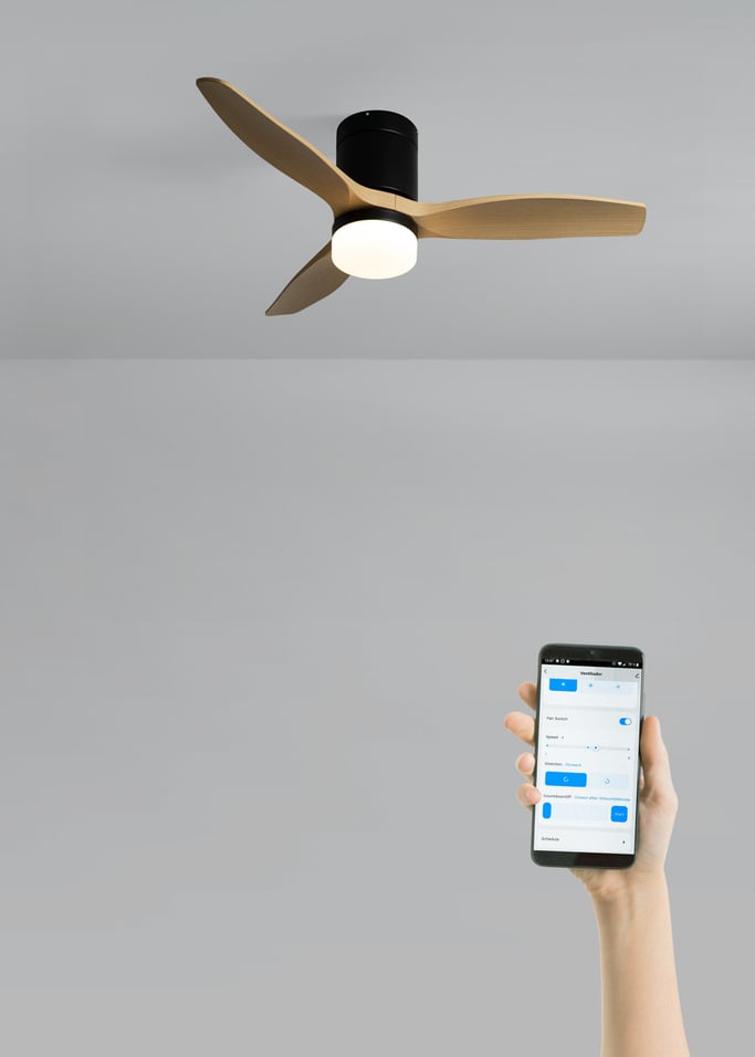 WIND CALM - Leiser Deckenventilator 40W mit technischen ABS-Blättern in verschiedenen Größen, Galeriebild 2