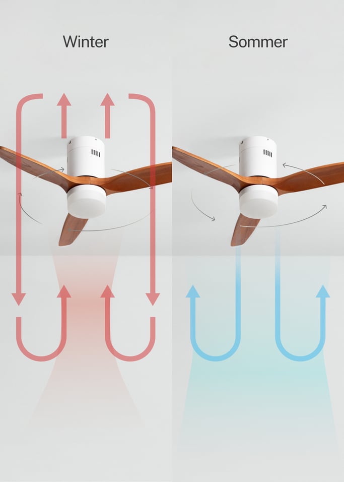 WIND CALM NATURAL WOOD - Leiser Deckenventilator 40W 100% Holz , Galeriebild 3