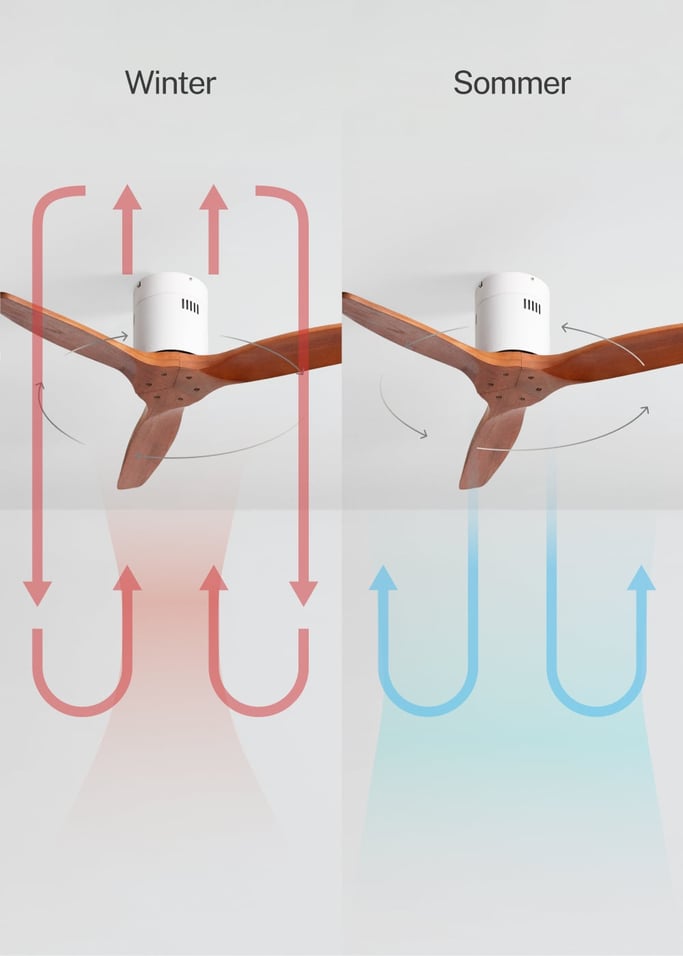 WIND CALM NATURAL WOOD - Leiser Deckenventilator 40W 100% Holz , Galeriebild 3