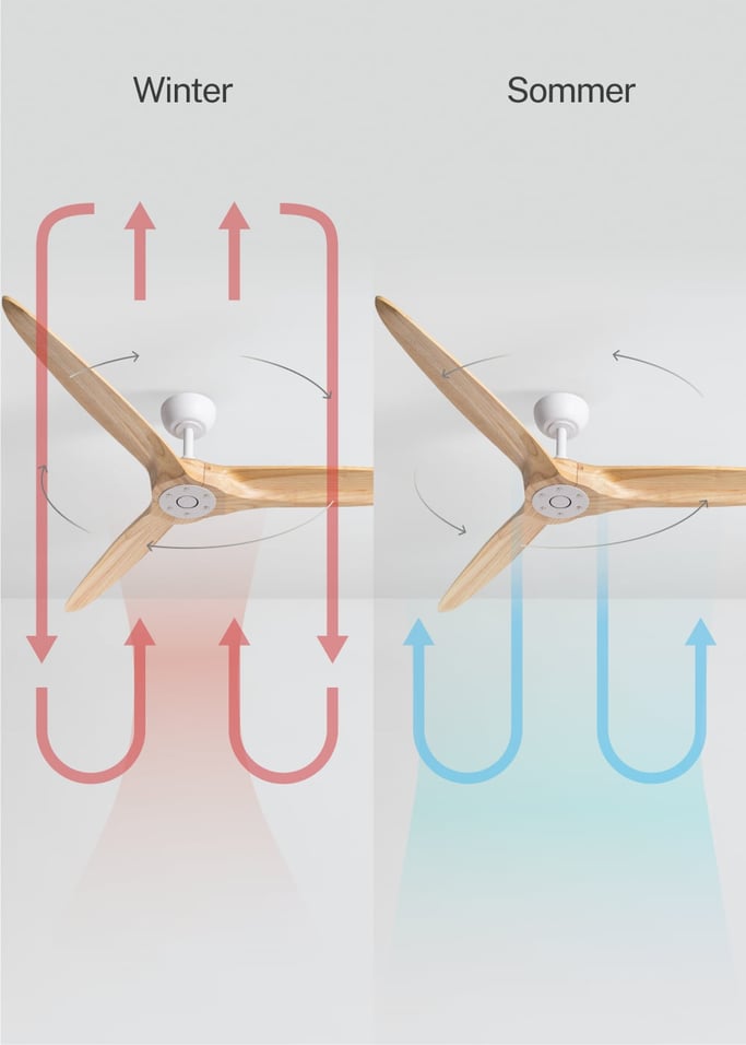 WIND CENTURY - Deckenventilator 40W leise Ø152 cm 100% Holz, Galeriebild 3
