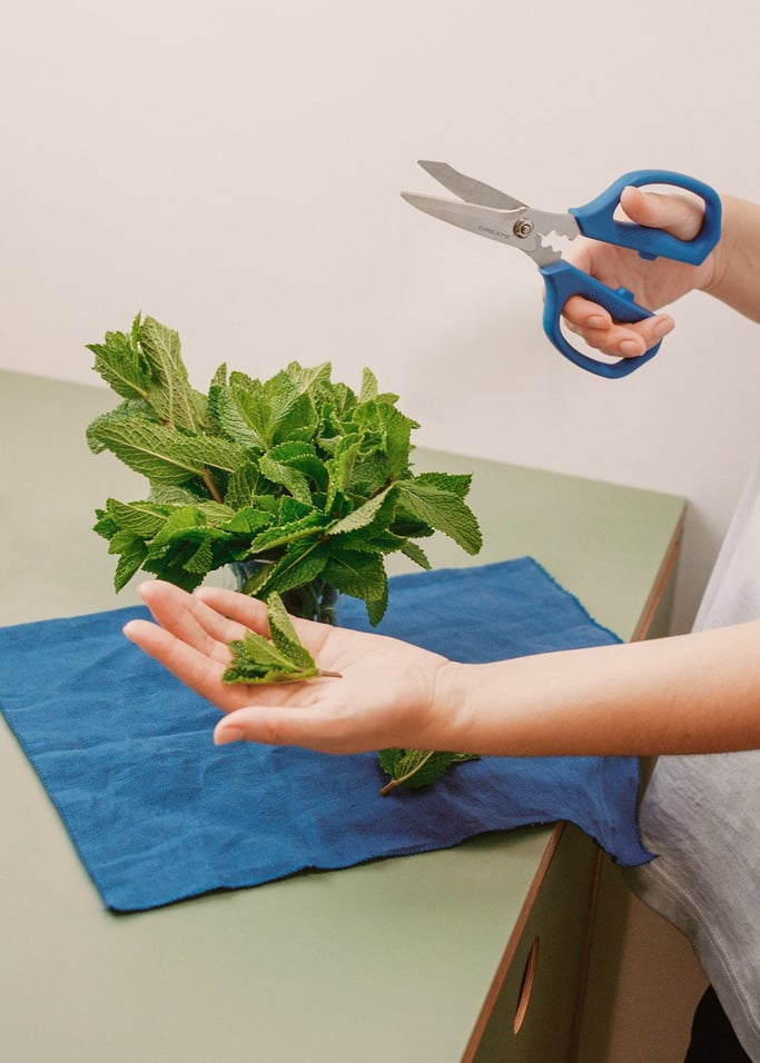 KITCHENWARE STUDIO - Tijeras de cocina, imagen de galería 1