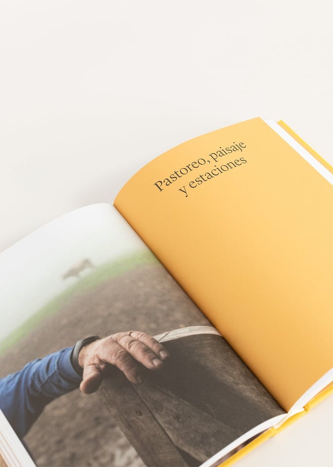 Libro Leche, fermento y vida - Clara Diez , imagen de galería 5