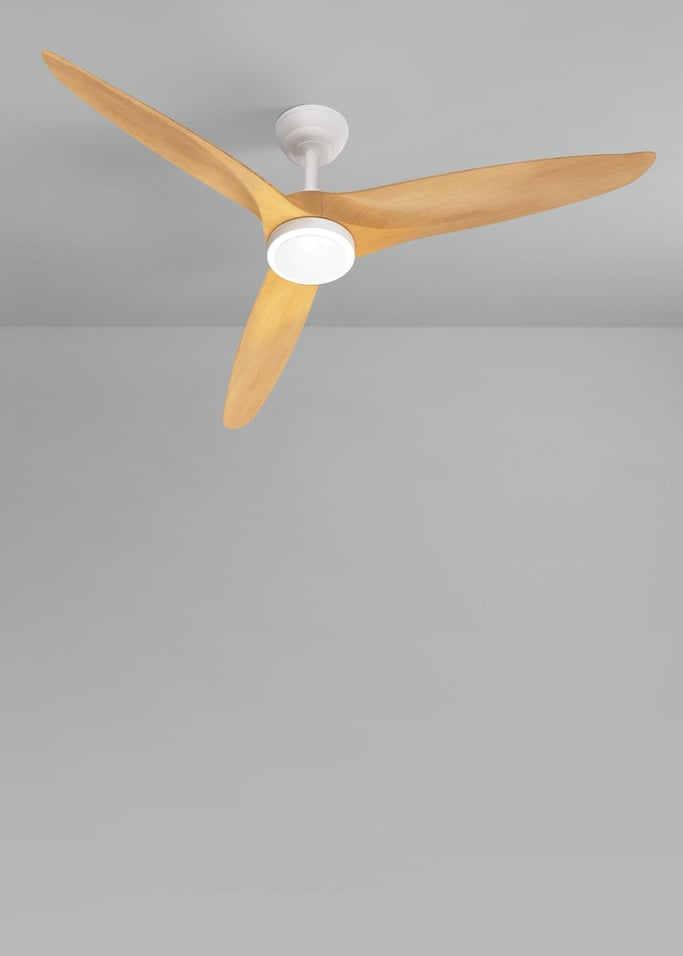 WIND CENTURY - Ventilador de techo 40W silencioso Ø152 cm 100% madera, imagen de galería 2