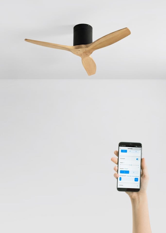 WIND CALM - Ventilador de techo 40W silencioso con aspas de ABS técnico varios tamaños, imagen de galer&iacute;a 2