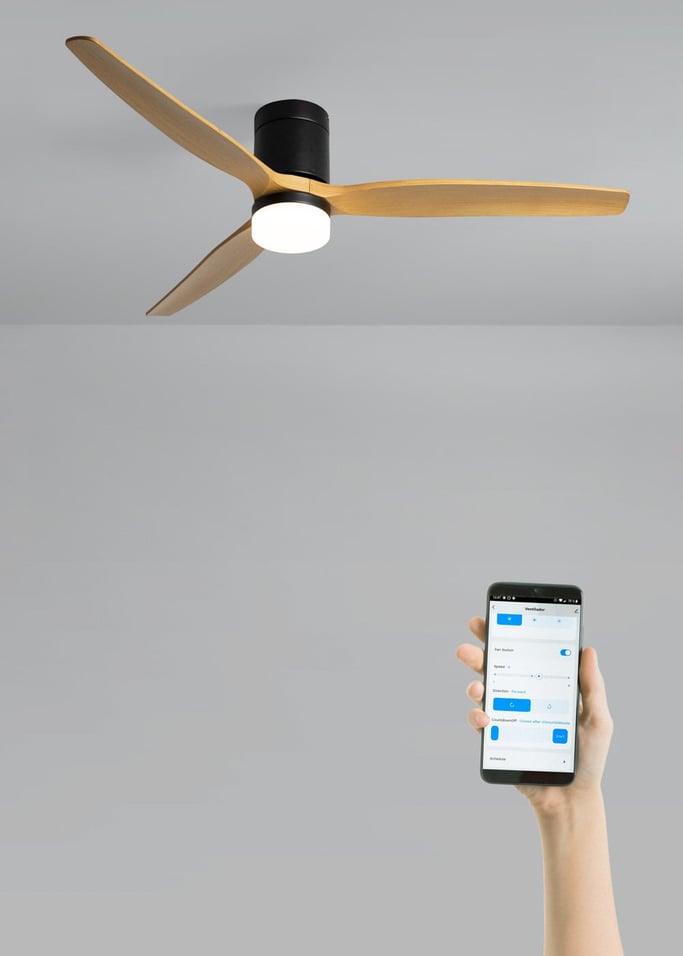 WIND CALM - Ventilador de techo 40W silencioso con aspas de ABS técnico varios tamaños, imagen de galer&iacute;a 2