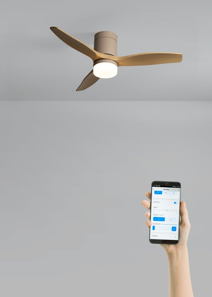 WIND CALM - Ventilador de techo 40W silencioso con aspas de ABS técnico varios tamaños, imagen de galer&iacute;a 2