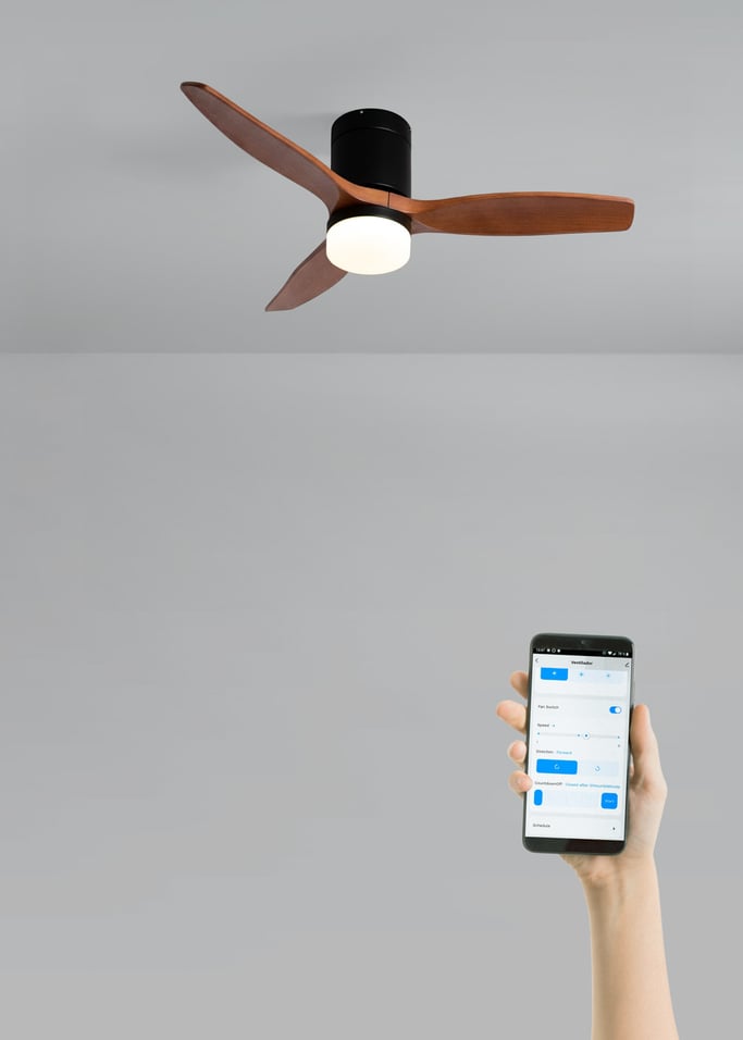 WIND CALM - Ventilador de techo 40W silencioso con aspas de ABS técnico varios tamaños, imagen de galer&iacute;a 2