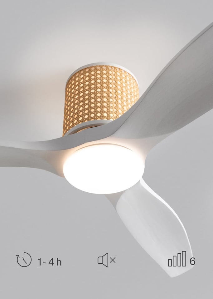 WIND CALM CUSTOM RATTAN - Ventilador de techo 40W silencioso Ø132 cm con luz LED en cuerpo y lámpara, imagen de galer&iacute;a 6