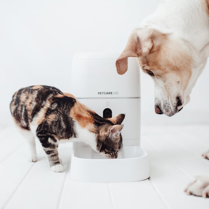 PETCARE HD - Comedero Dispensador Inteligente Automático para mascotas, imagen de galería 2