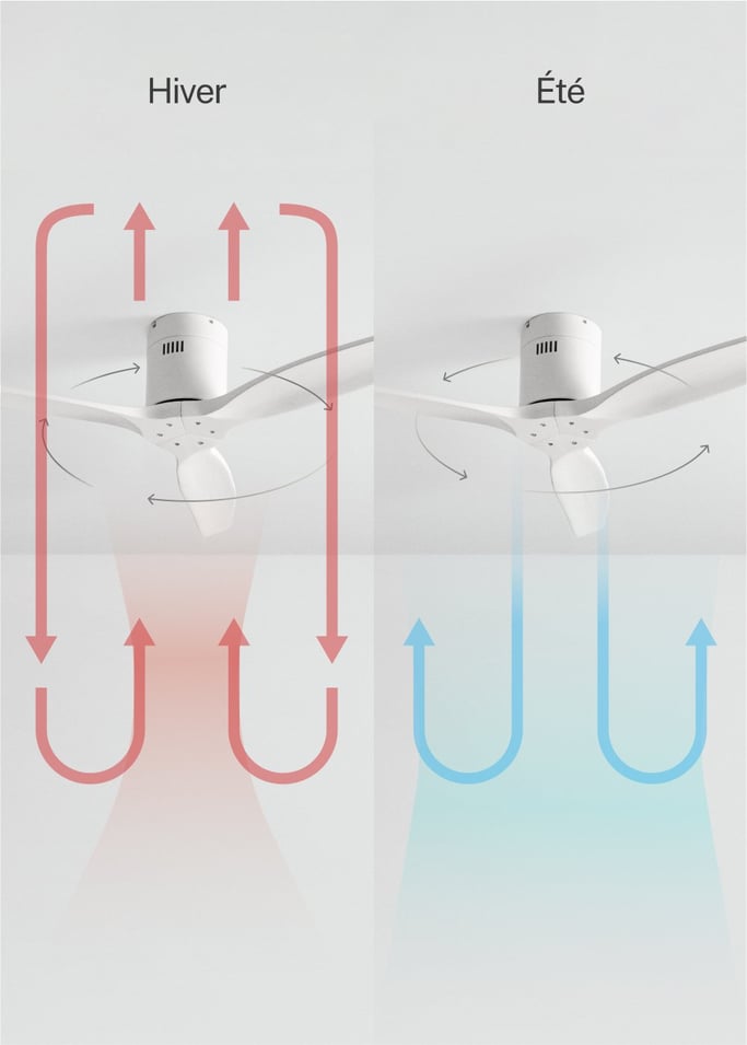 WIND CALM - Ventilateur de plafond silencieux 40W avec pales techniques en ABS de différentes tailles, image de la galerie 3