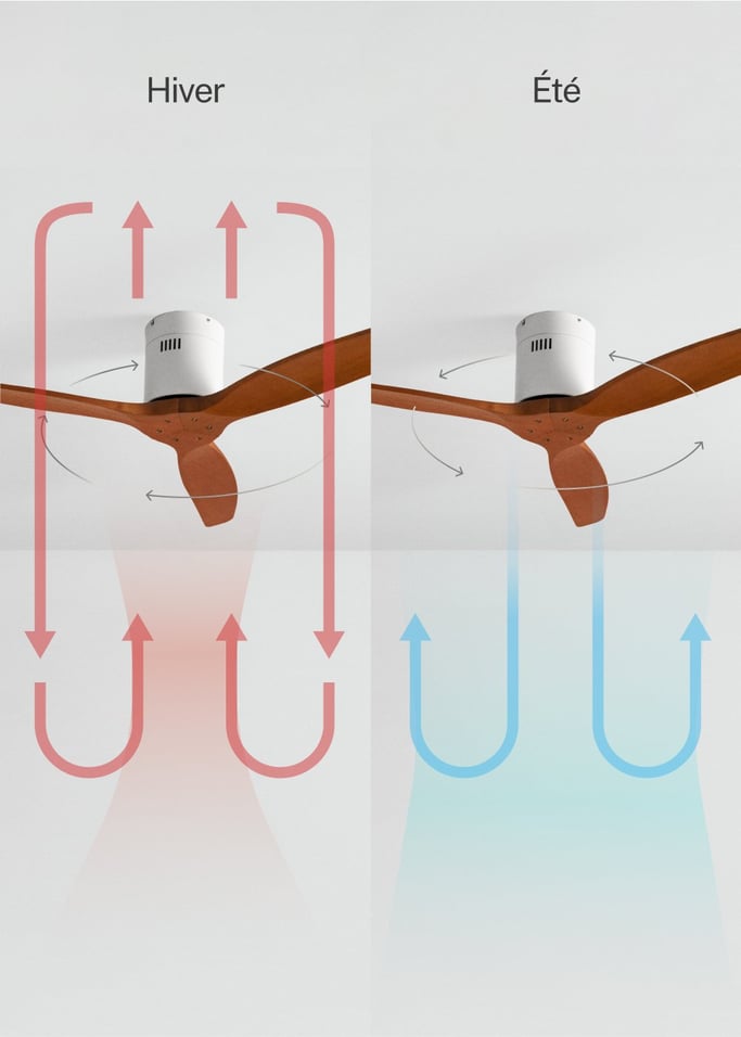 WIND CALM - Ventilateur de plafond silencieux 40W avec pales techniques en ABS de différentes tailles, image de la galerie 3