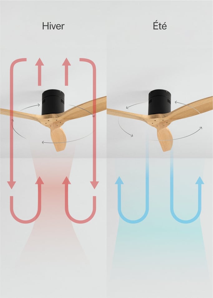 WIND CALM - Ventilateur de plafond silencieux 40W avec pales techniques en ABS de différentes tailles, image de la galerie 3