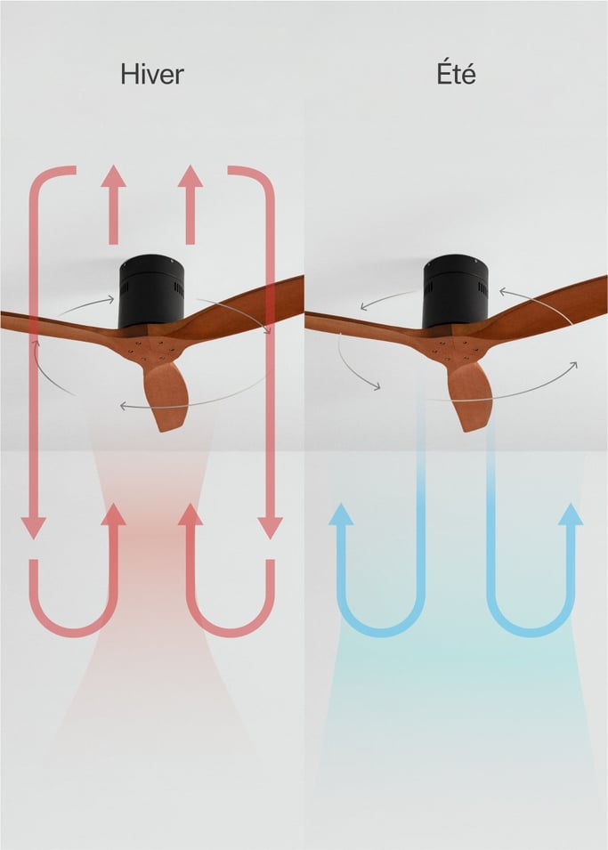 WIND CALM - Ventilateur de plafond silencieux 40W avec pales techniques en ABS de différentes tailles, image de la galerie 3