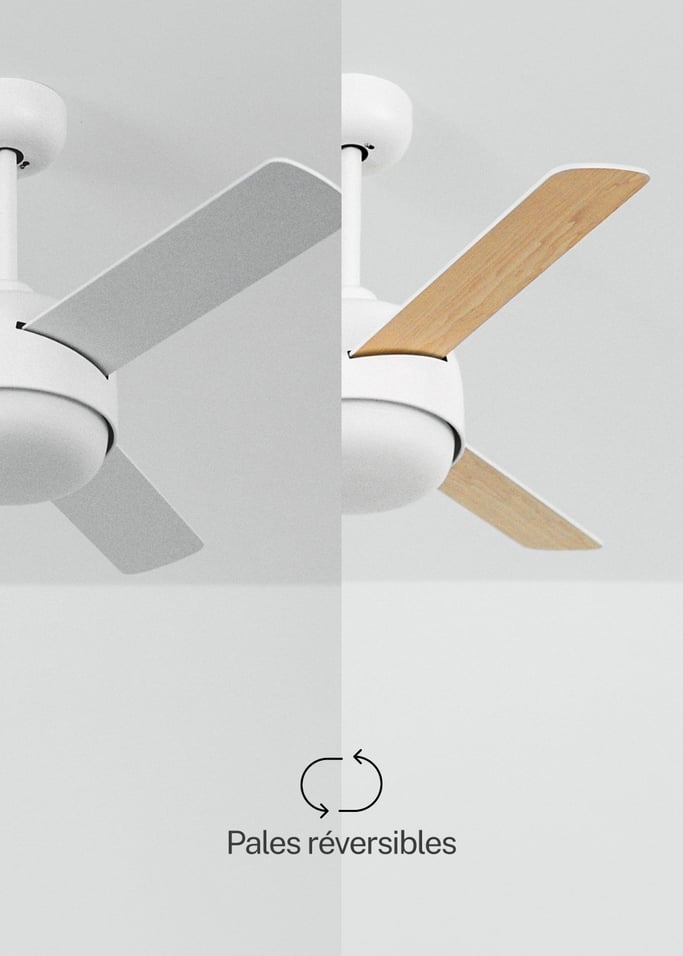 WIND BALL - Ventilateur de plafond 40W silencieux Ø112 cm avec éclairage LED de 15W lames réversibles, image de la galerie 3