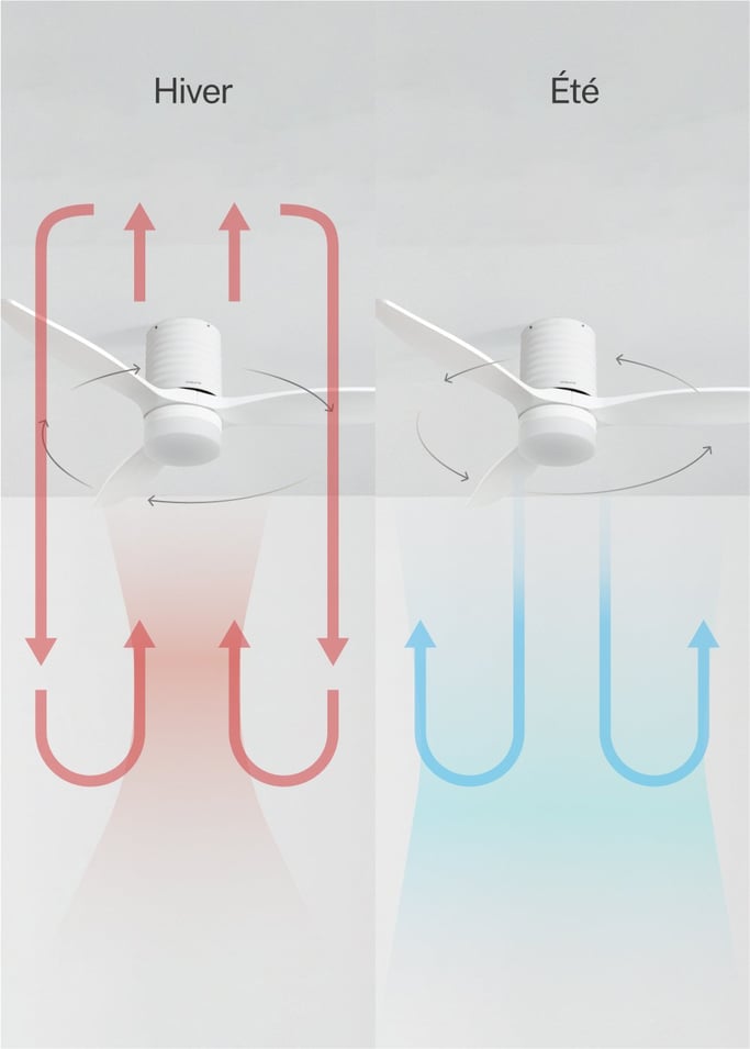 WIND CALM LINE - Ventilateur de plafond 40W silencieux Ø132 cm 100% bois, image de la galerie 5