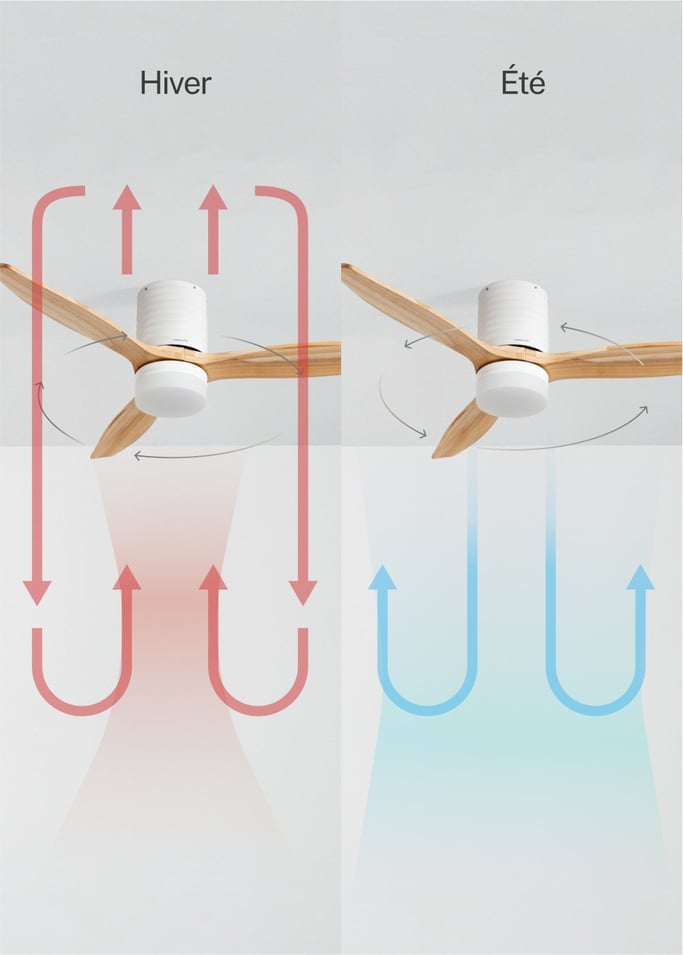 WIND CALM LINE - Ventilateur de plafond 40W silencieux Ø132 cm 100% bois, image de la galerie 5