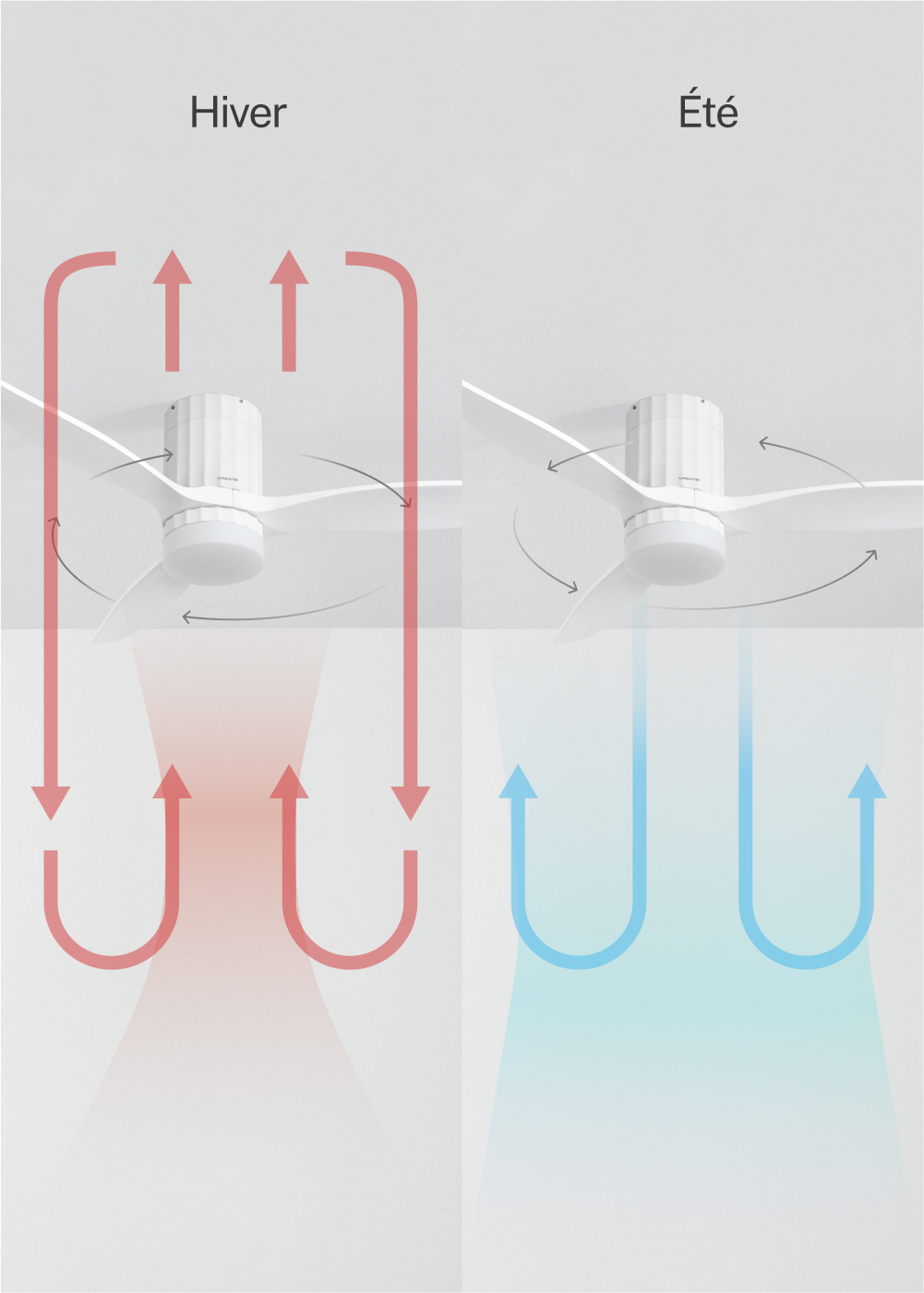 CREATE WIND CALM SLIM LIGHT - Ventilateur Plafond Bois Clair 132 Cm Avec Lumière LED 40W, 6 Vitesses, Été/Hiver, Télécommande