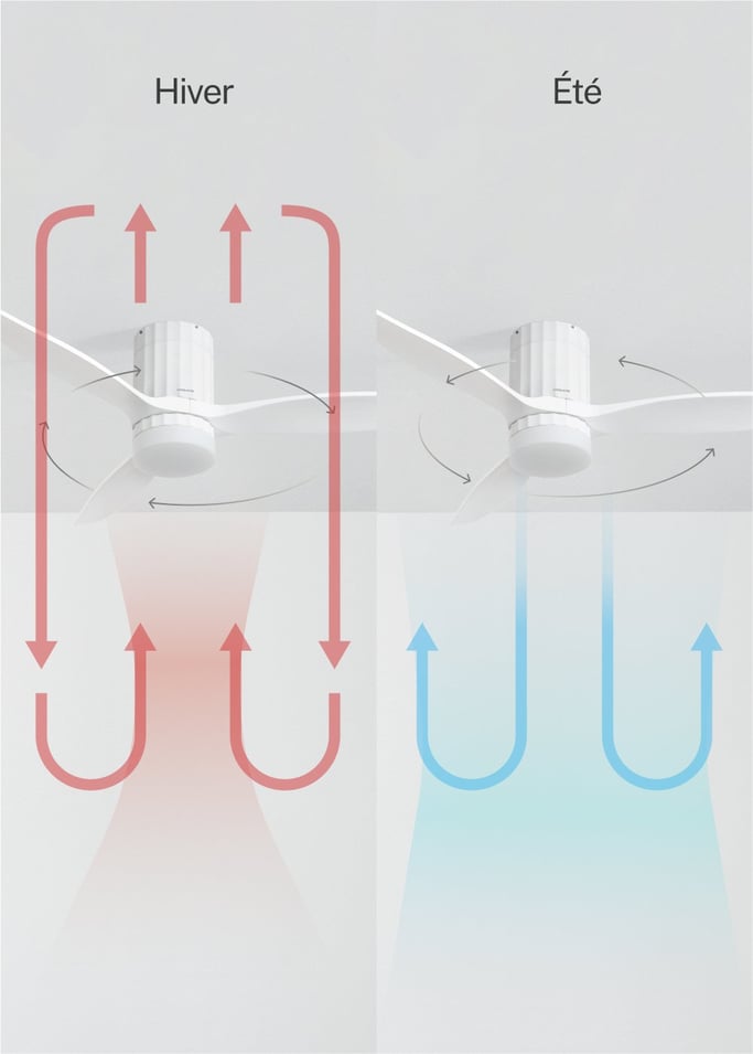 WIND CALM LINE - Ventilateur de plafond 40W silencieux Ø132 cm 100% bois, image de la galerie 5