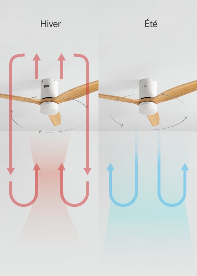 WIND CALM SPECIAL PRICE - Ventilateur de plafond 40W silencieux Ø132 cm 15W 100% bois, image de la galerie 3
