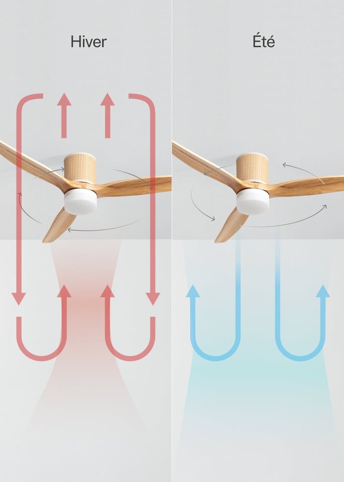 WIND CALM RATTAN - Ventilateur de plafond 40W silencieux Ø132 cm avec éclairage LED dans le corps et la lampe, image de la galerie 3