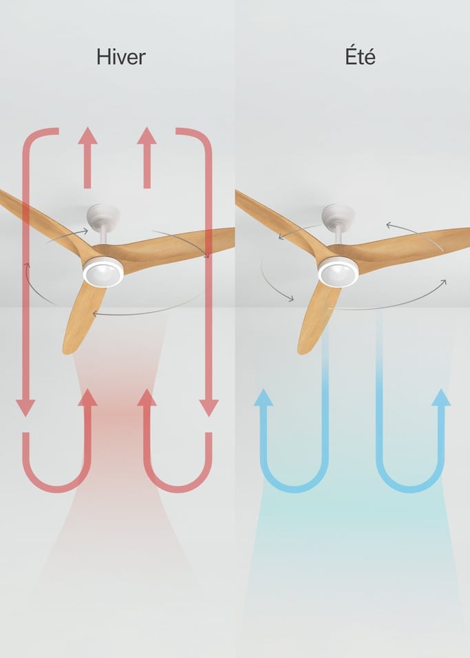 WIND CENTURY - Ventilateur de plafond 40W silencieux Ø152 cm 100% bois, image de la galerie 3