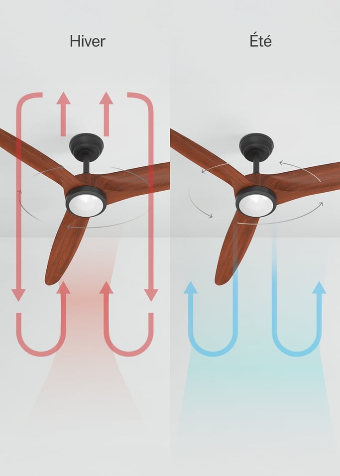 WIND CENTURY - Ventilateur de plafond 40W silencieux Ø152 cm 100% bois, image de la galerie 3