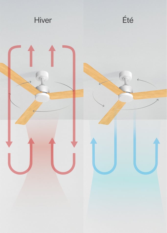 WIND MODERN - Ventilateur de plafond silencieux 40W avec lumière LED  plusieurs tailles disponibles, image de la galerie 3