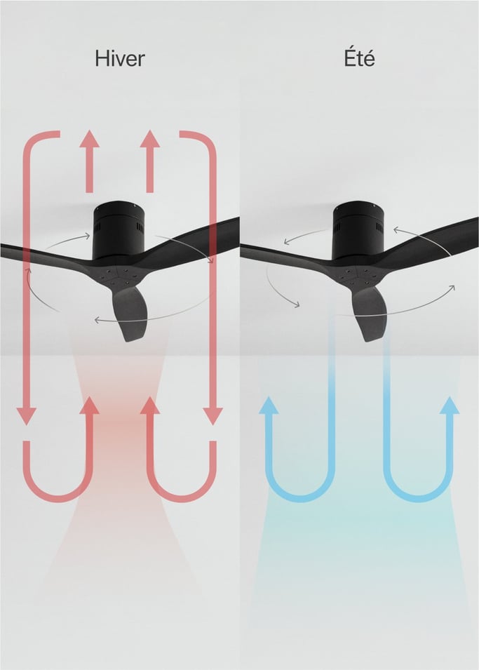 WIND CALM NATURAL WOOD - Ventilateur de plafond 40W silencieux 100% bois, image de la galerie 3