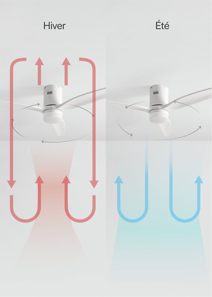 WIND CALM NATURAL WOOD - Ventilateur de plafond 40W silencieux 100% bois, image de la galerie 3