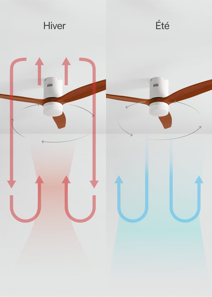 WIND CALM NATURAL WOOD - Ventilateur de plafond 40W silencieux 100% bois, image de la galerie 3