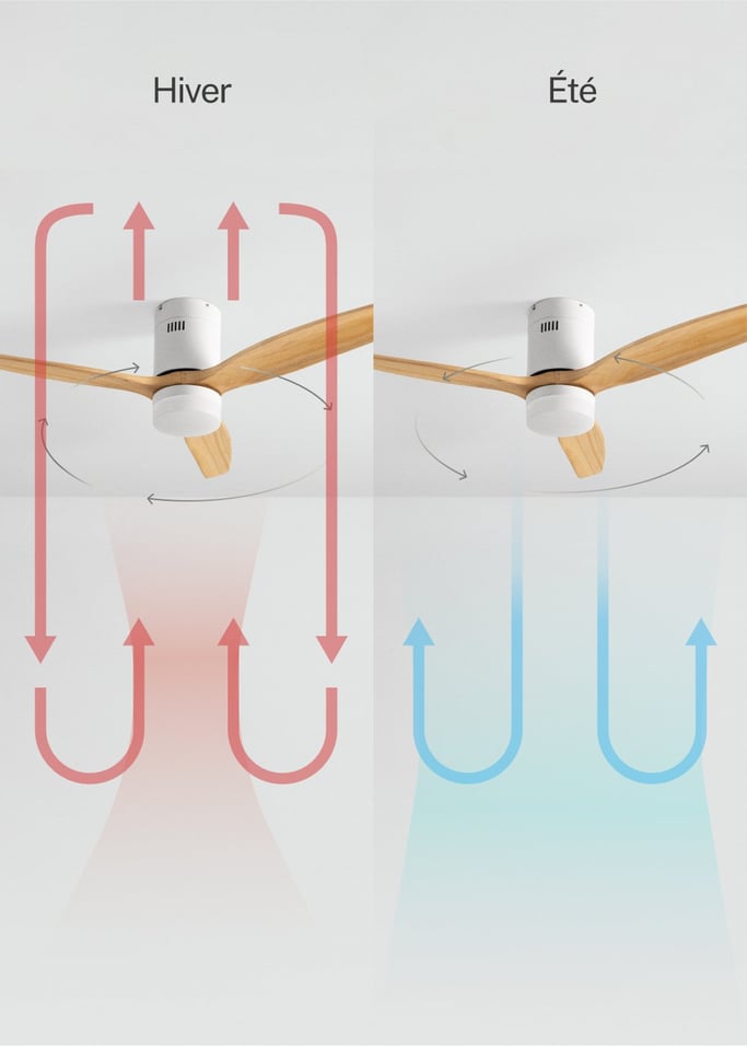 WIND CALM NATURAL WOOD - Ventilateur de plafond 40W silencieux 100% bois, image de la galerie 3