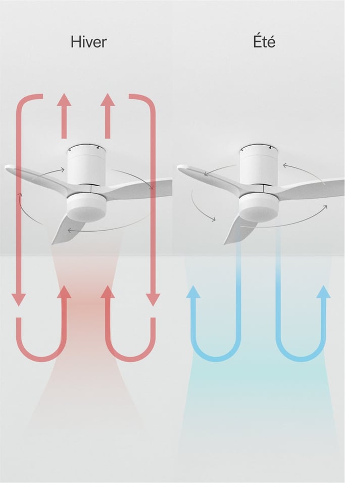 WIND CALM - Ventilateur de plafond silencieux 40W avec pales techniques en ABS de différentes tailles, image de la galerie 4