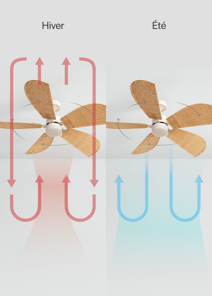 WIND RATTAN - Ventilateur de Plafond Silencieux 40W Ø132cm , image de la galerie 5