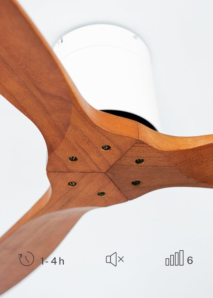 WIND CALM - Ventilateur de plafond silencieux 40W avec pales techniques en ABS de différentes tailles, image de la galerie 4