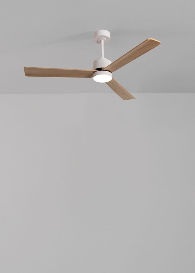 WIND MODERN - Ventilateur de plafond silencieux 40W avec lumière LED  plusieurs tailles disponibles, image de la galerie 2