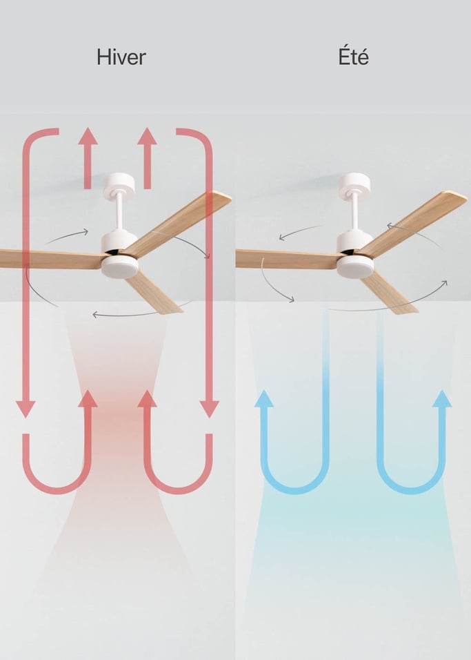 WIND MODERN - Ventilateur de plafond silencieux 40W avec lumière LED  plusieurs tailles disponibles, image de la galerie 3