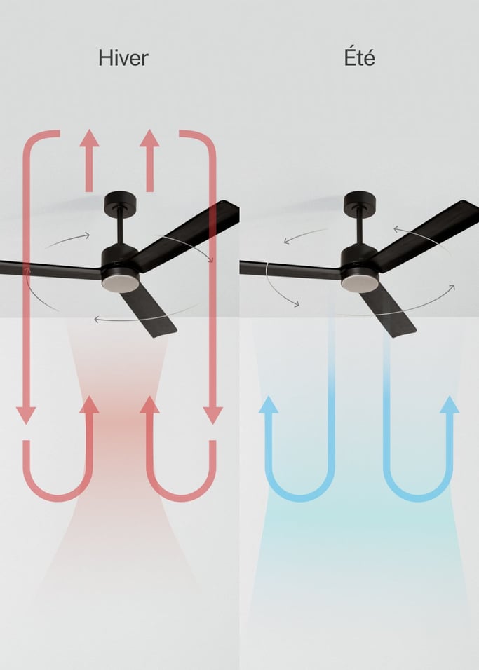 WIND MODERN - Ventilateur de plafond silencieux 40W avec lumière LED  plusieurs tailles disponibles, image de la galerie 3