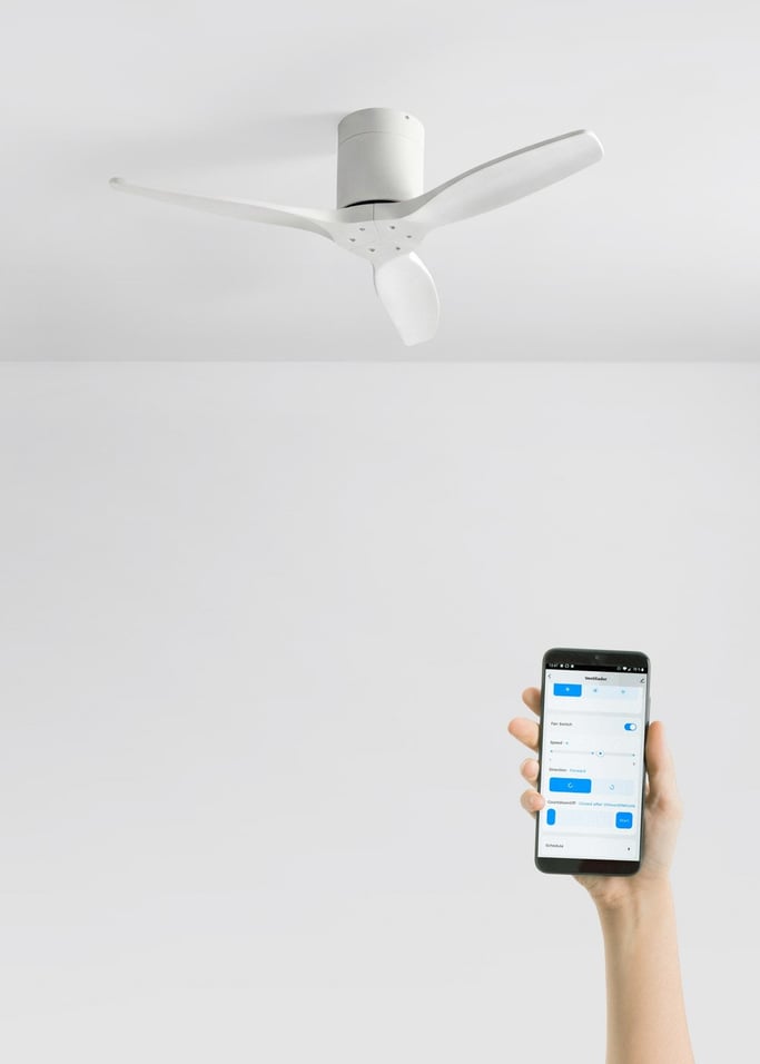 WIND CALM - Ventilateur de plafond silencieux 40W avec pales techniques en ABS de différentes tailles, image de la galerie 2