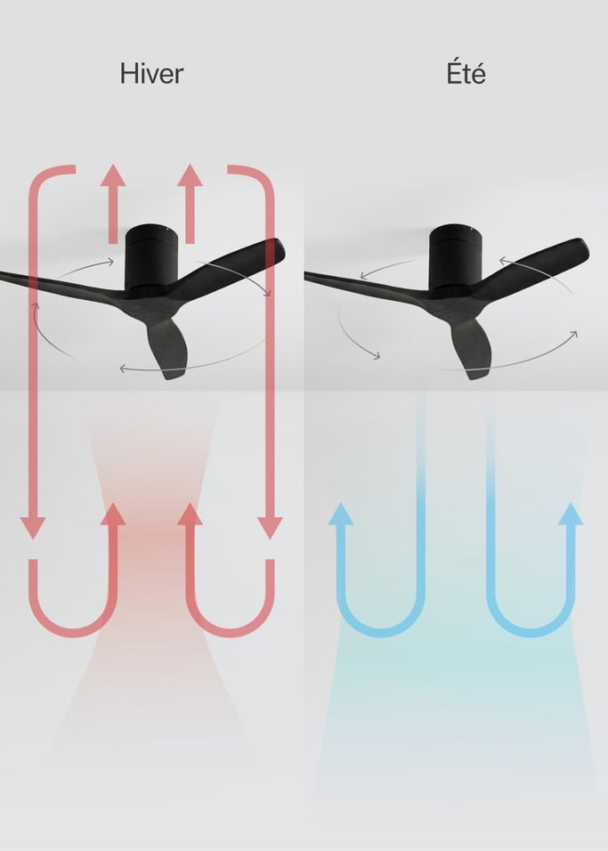 WIND CALM - Ventilateur de plafond silencieux 40W avec pales techniques en ABS de différentes tailles, image de la galerie 3