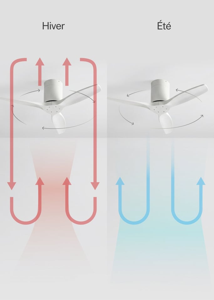 WIND CALM - Ventilateur de plafond silencieux 40W avec pales techniques en ABS de différentes tailles, image de la galerie 3