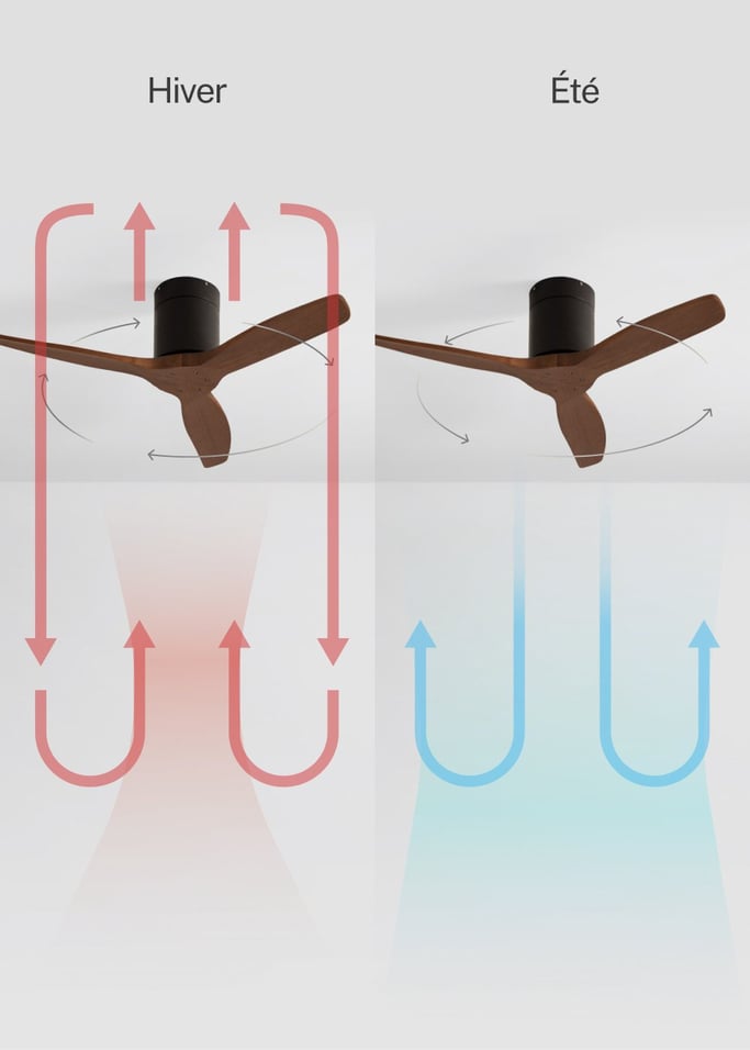 WIND CALM - Ventilateur de plafond silencieux 40W avec pales techniques en ABS de différentes tailles, image de la galerie 3