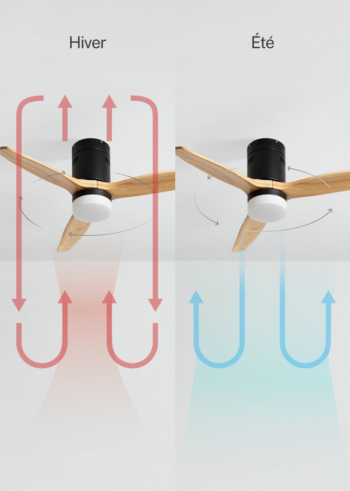 WIND CALM NATURAL WOOD - Ventilateur de plafond 40W silencieux 100% bois, image de la galerie 3