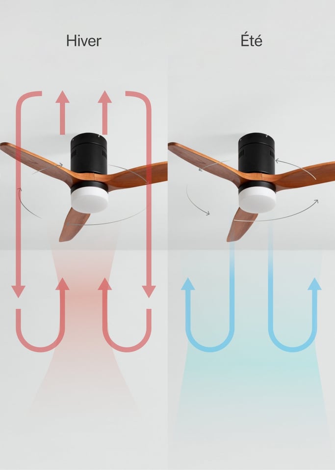 WIND CALM NATURAL WOOD - Ventilateur de plafond 40W silencieux 100% bois, image de la galerie 3