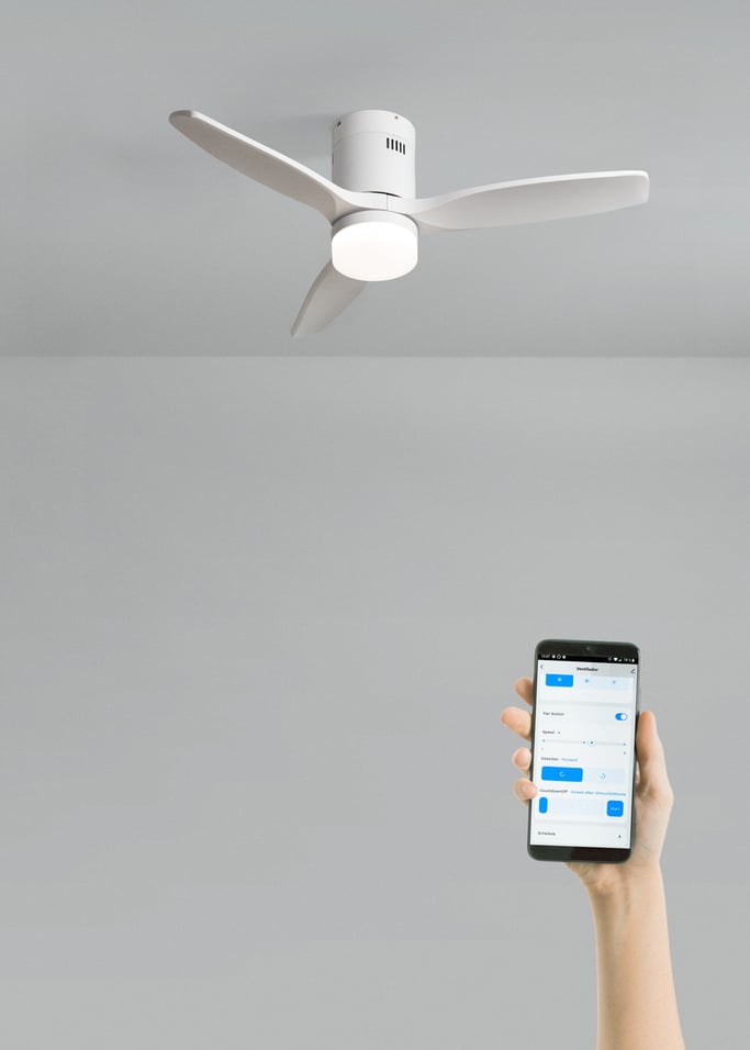 WIND CALM NATURAL WOOD - Ventilateur de plafond 40W silencieux 100% bois, image de la galerie 2