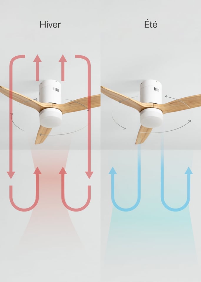 WIND CALM NATURAL WOOD - Ventilateur de plafond 40W silencieux 100% bois, image de la galerie 3